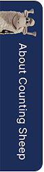 About Counting Sheep